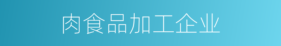 肉食品加工企业的同义词