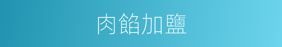 肉餡加鹽的同義詞