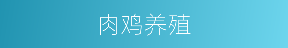肉鸡养殖的同义词