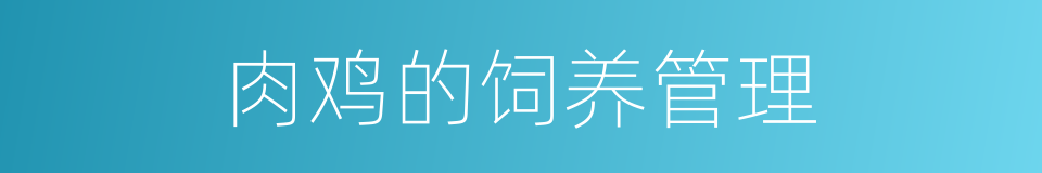 肉鸡的饲养管理的同义词