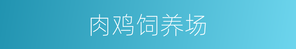 肉鸡饲养场的同义词