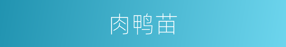 肉鸭苗的同义词