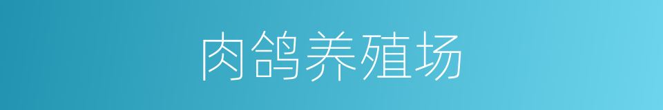 肉鸽养殖场的同义词