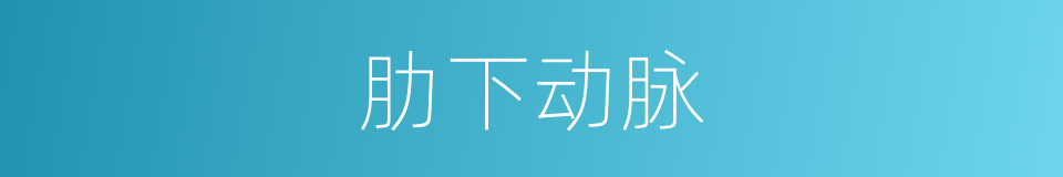 肋下动脉的同义词