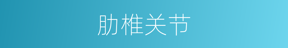 肋椎关节的同义词