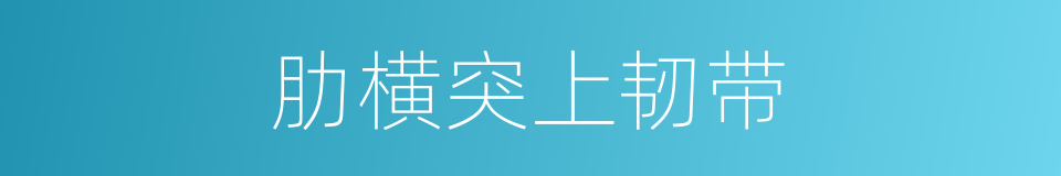 肋横突上韧带的同义词
