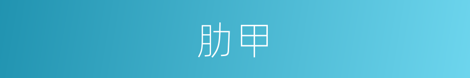 肋甲的同义词