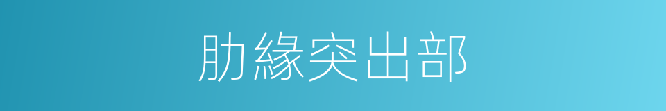 肋緣突出部的同義詞