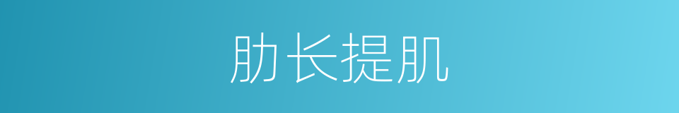 肋长提肌的同义词