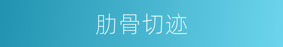 肋骨切迹的同义词