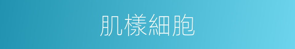 肌樣細胞的同義詞
