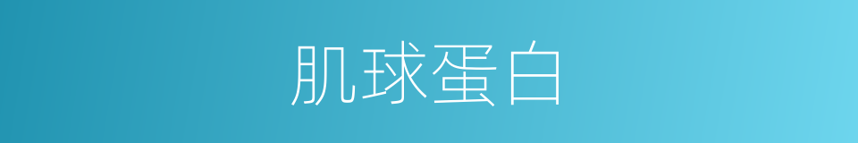 肌球蛋白的同义词