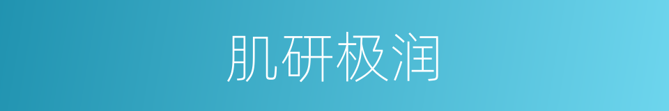 肌研极润的同义词