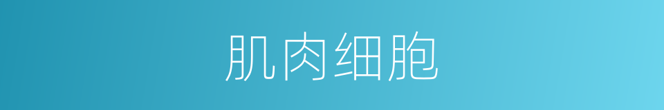 肌肉细胞的同义词