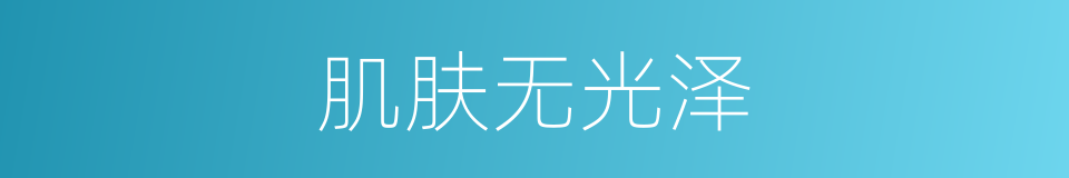 肌肤无光泽的同义词