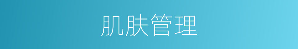肌肤管理的同义词