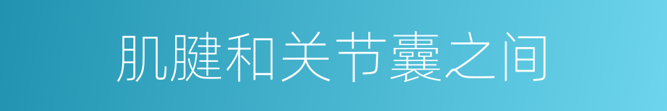 肌腱和关节囊之间的同义词