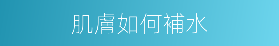 肌膚如何補水的同義詞