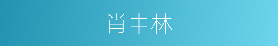 肖中林的同义词