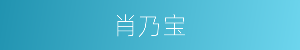 肖乃宝的同义词