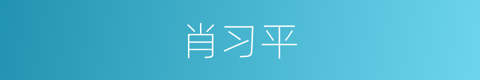 肖习平的同义词