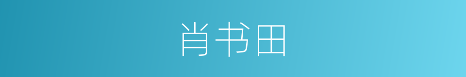 肖书田的同义词