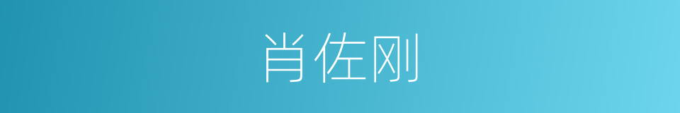 肖佐刚的同义词