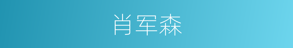 肖军森的同义词