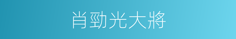 肖勁光大將的同義詞