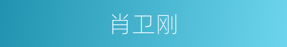 肖卫刚的同义词