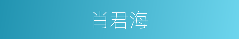 肖君海的同义词