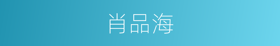 肖品海的同义词