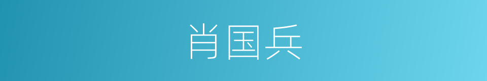 肖国兵的意思