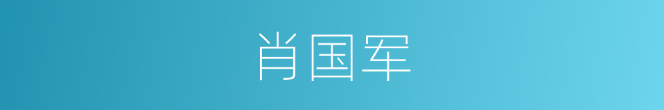 肖国军的同义词