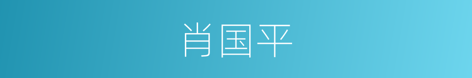 肖国平的同义词