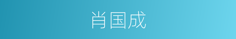 肖国成的同义词