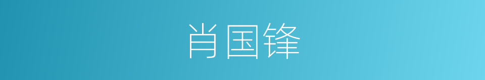 肖国锋的同义词