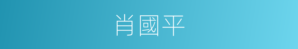 肖國平的同義詞