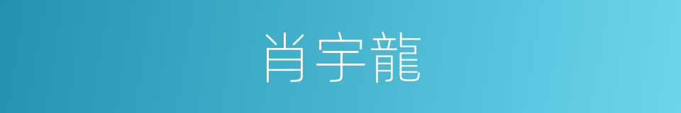肖宇龍的同義詞