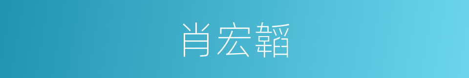 肖宏韜的同義詞