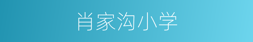 肖家沟小学的同义词