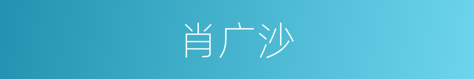 肖广沙的同义词