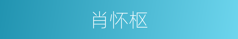 肖怀枢的同义词