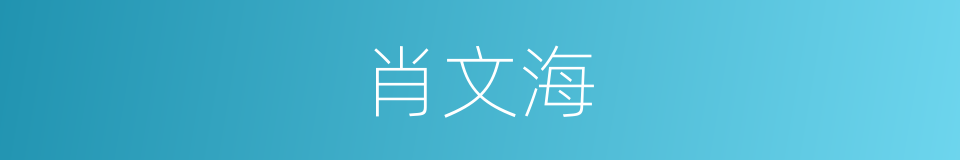 肖文海的同义词
