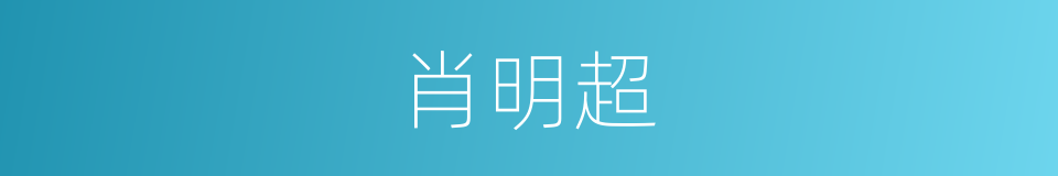 肖明超的同义词