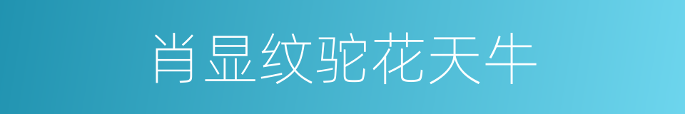 肖显纹驼花天牛的同义词