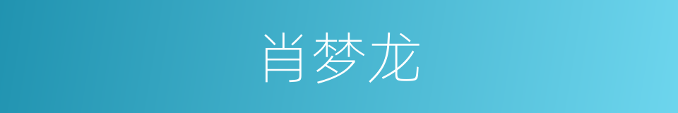 肖梦龙的同义词