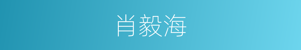 肖毅海的同义词