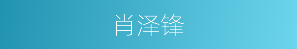 肖泽锋的同义词