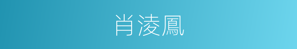 肖淩鳳的同義詞